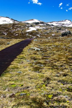 Avustralya 'nın Yeni Güney Galler bölgesindeki Karlı Dağlar' daki Kosciuszko Dağı 'na giden yürüyüş pisti. Kosciuszko Ulusal Parkı.