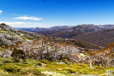 Kosciuszko Ulusal Parkı, Yeni Güney Galler, Avustralya