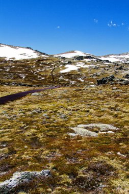 Avustralya 'nın Yeni Güney Galler bölgesindeki Karlı Dağlar' daki Kosciuszko Dağı 'na giden yürüyüş pisti. Kosciuszko Ulusal Parkı.