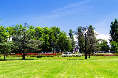 Avustralya 'daki Canberra şehri manzarası