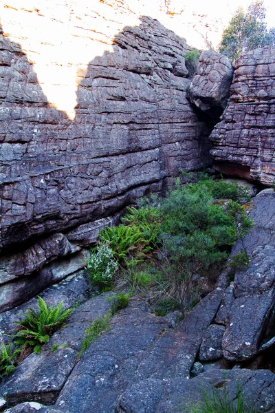 Grampians National Park Victoria Australien — Stockfoto