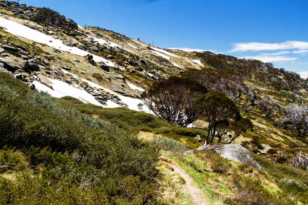 Kosciuszko National Park New South Wales Australia — Stock Photo, Image