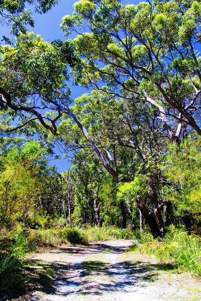 Jervis Bay New South Wales Australien — Stockfoto