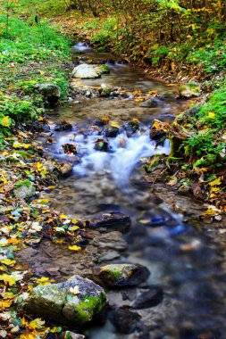 Çevresinde yeşil doğa olan Dağ Akıntısı