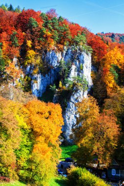 Sonbahar ormanı ve beyaz kaya, Ojcowski Ulusal Parkı, Ojcow, Polonya