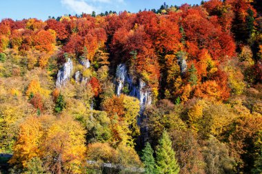 Sonbahar ormanı ve beyaz kaya, Ojcowski Ulusal Parkı, Ojcow, Polonya