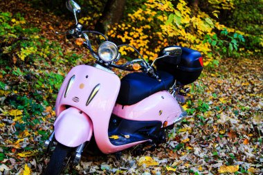 OJCOW, POLAND - 20 Ekim 2013 'te Osa Scooter' ın ulusal parka yaptığı gezi çok güzeldi..