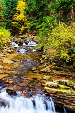 Çevresinde yeşil doğa olan Dağ Akıntısı