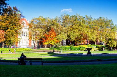 DUBLIN, IRELAND - 11 Kasım 2013 'te Dublin, İrlanda' da St. Patrick katedralinin yakınına park edin. Park Dublin 'de bir şehir parkı.