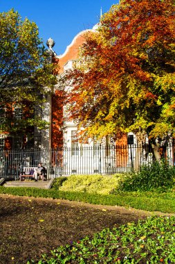 DUBLIN, IRELAND - 11 Kasım 2013 'te Dublin, İrlanda' da St. Patrick katedralinin yakınına park edin. Park Dublin 'de bir şehir parkı.