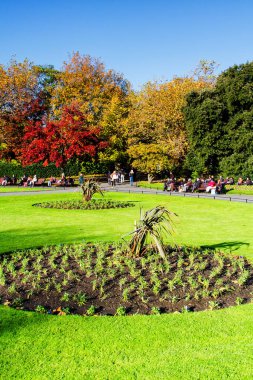 Dublin, İrlanda - 11 Kasım 2013 'te Dublin, İrlanda' da St. Stephen 's Green. St. Stephen 's Green, Dublin' de 1880 yılında halka açılan bir şehir parkı..