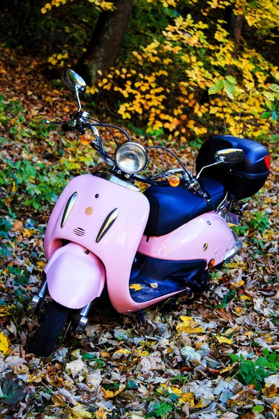 Ojcow Polen Oktober Mooie Roze Vintage Osa Scooter Reis Naar — Stockfoto