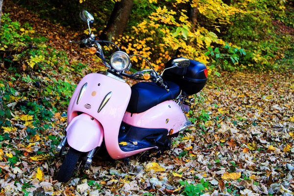 OJCOW, POLAND - 20 Ekim 2013 'te Osa Scooter' ın ulusal parka yaptığı gezi çok güzeldi..