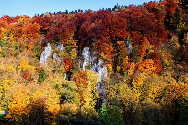 Sonbahar ormanı ve beyaz kaya, Ojcowski Ulusal Parkı, Ojcow, Polonya