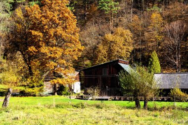 Ojcow 'daki Geleneksel Mimarlık, Ojcow Ulusal Parkı, Krakow-Czestochowa Upland veya Polonya Jurassic Highland, Küçük Polonya Voyvoda, Polonya