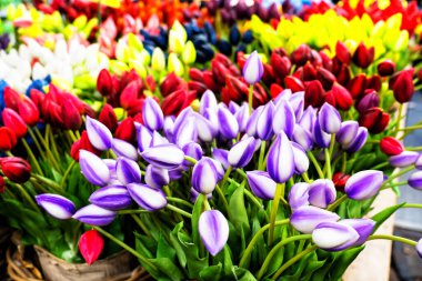 Hediyelik eşya dükkanında geleneksel ahşap laleler. Amsterdam, Hollanda