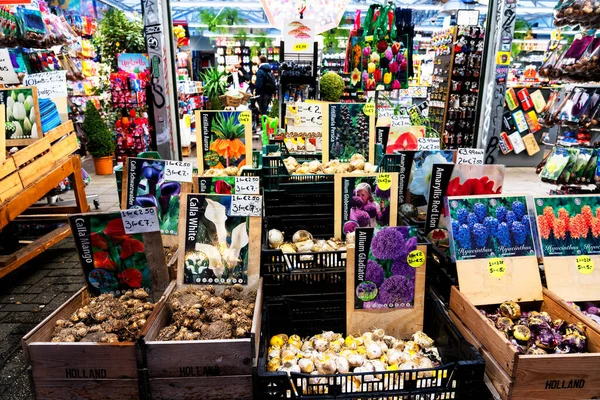 Amsterdam Niderlandy Listopad 2019 Sprzedaż Roślin Nasion Rynku Kwiatów Amsterdamu — Zdjęcie stockowe