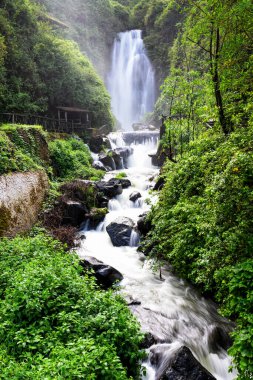 Ekvador dağlarındaki Peguche Şelalesi manzarası. Çevresi bitkilerle dolu yeşil ormanlarla çevrili.