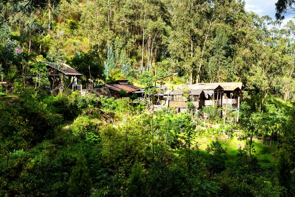 Bauernhaus Ländlichen Bergigen Teil Ecuadors Zwischen Sanften Hügeln Und Kaffeeplantagen — Stockfoto