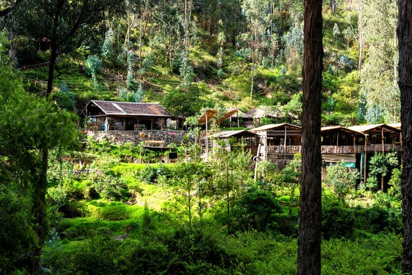 Bauernhaus Ländlichen Bergigen Teil Ecuadors Zwischen Sanften Hügeln Und Kaffeeplantagen — Stockfoto