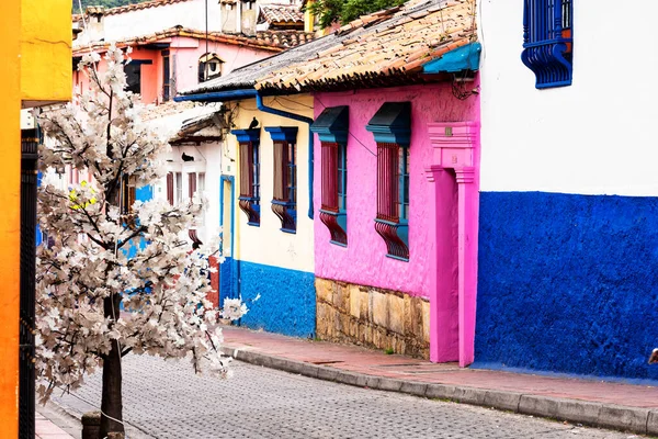 Bogota Colombia Nov 2019 Vista Una Encantadora Colorida Calle Distrito —  Fotos de Stock