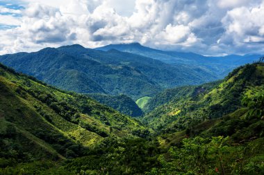 Güney Amerika 'nın Antioquia eyaletindeki Kolombiya kırsalındaki sisli ve sisli dağların ve dağların panoramik manzarası