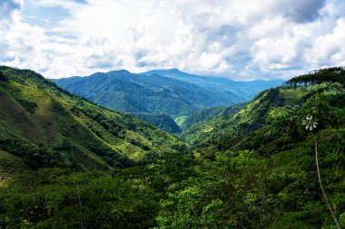 Güney Amerika 'nın Antioquia eyaletindeki Kolombiya kırsalındaki sisli ve sisli dağların ve dağların panoramik manzarası