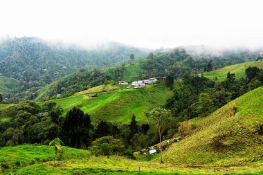 Güney Amerika 'nın Caldas eyaletinde Manizales yakınlarında Kolombiya kırsalındaki sisli ve sisli dağların ve dağların panoramik manzarası