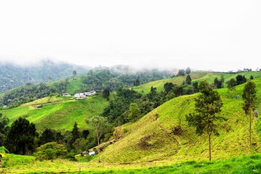 Güney Amerika 'nın Caldas eyaletinde Manizales yakınlarında Kolombiya kırsalındaki sisli ve sisli dağların ve dağların panoramik manzarası