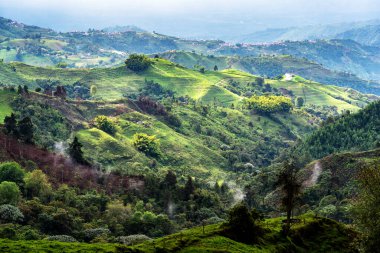 Güney Amerika 'nın Caldas eyaletinde Manizales yakınlarında Kolombiya kırsalındaki sisli ve sisli dağların ve dağların panoramik manzarası