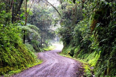 Manizales, Caldas, Güney Amerika yakınlarındaki Kolombiya kırsalında yağmur ormanlarının panoramik manzarası ve Rio Blanco rezervi