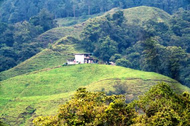 Kolombiya 'nın kırsal kesimindeki çiftlik evi. Yuvarlanan tepeler ve kahve tarlaları arasında yer alıyor..