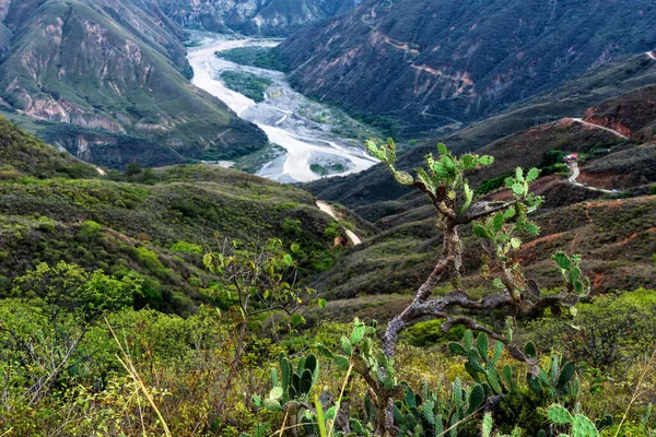 Vista Cânion Chicamocha Colômbia Cordilheira Dos Andes América Sul — Fotografia de Stock