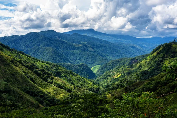 Güney Amerika 'nın Antioquia eyaletindeki Kolombiya kırsalındaki sisli ve sisli dağların ve dağların panoramik manzarası