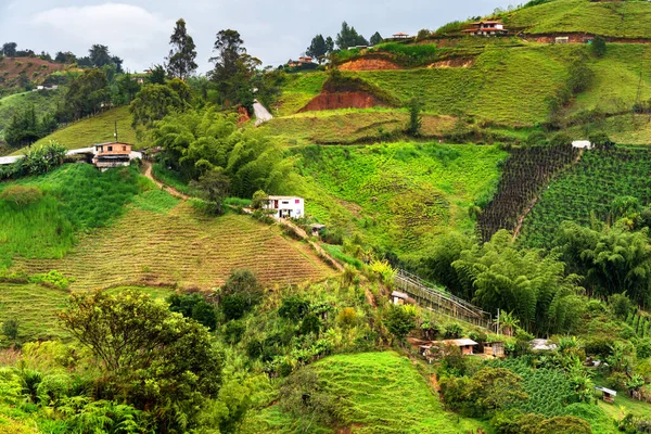 Panoramisch Uitzicht Mistige Mistige Bergen Hooglanden Het Platteland Van Colombia — Stockfoto