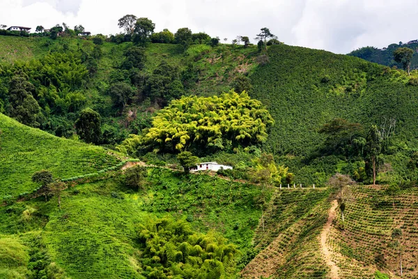 Boerderij Lodge Het Landelijke Bergachtige Deel Van Colombia Gelegen Tussen — Stockfoto