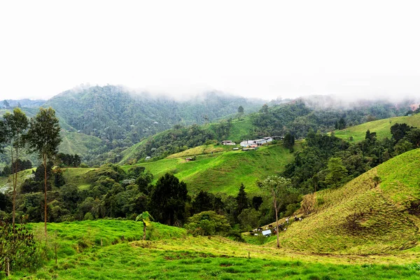 Güney Amerika 'nın Caldas eyaletinde Manizales yakınlarında Kolombiya kırsalındaki sisli ve sisli dağların ve dağların panoramik manzarası