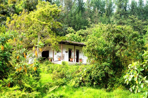 Farmhouse Lodge Rural Mountainous Part Colombia Located Rolling Hills Coffee — стоковое фото