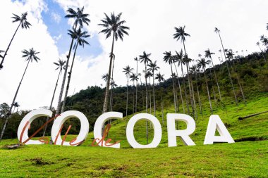 COCORA VALLEY, COLOMBIA - 14 Kasım 2019: Cocora Vadisi tabelası parktaki patikalardan birinde, Kolombiya, Güney Amerika.