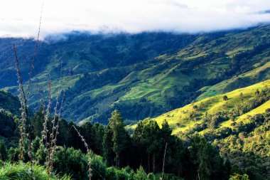 Güney Amerika, Kolombiya kırsalındaki dağların ve dağların panoramik manzarası