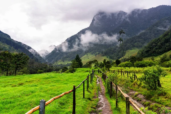 Una Vista Desde Comienzo Caminata Hacia Valle Del Cocora Famoso —  Fotos de Stock