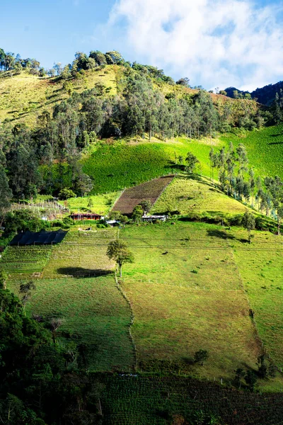 Casa Rural Parte Montañosa Rural Colombia Ubicada Entre Colinas Onduladas — Foto de Stock