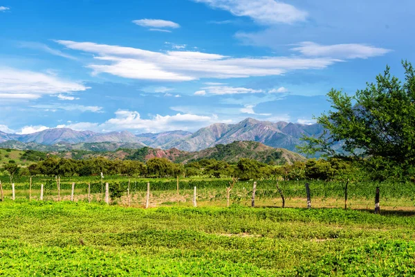 Panoramautsikt Över Berg Och Högländer Landsbygden Colombia Sydamerika — Stockfoto