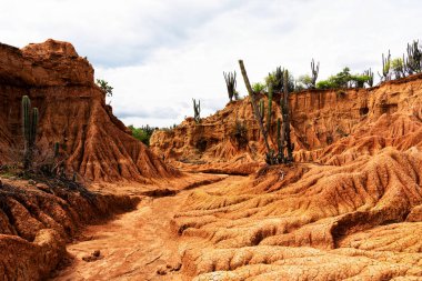 Desert Tatacoa - Desierto de la Tatacoa, Kolombiya,