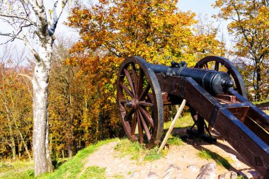 Polonya, Checiny 'de eski bir top.