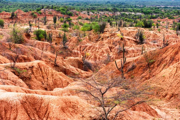 Pustynia Tatacoa Desierto Tatacoa Kolumbia — Zdjęcie stockowe