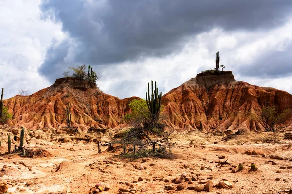 Pustynia Tatacoa Desierto Tatacoa Kolumbia — Zdjęcie stockowe