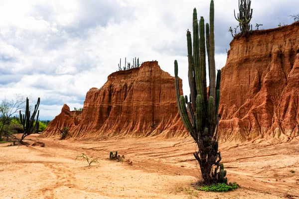 Pustynia Tatacoa Desierto Tatacoa Kolumbia — Zdjęcie stockowe