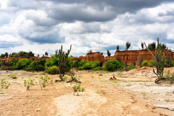 Pustynia Tatacoa Desierto Tatacoa Kolumbia — Zdjęcie stockowe