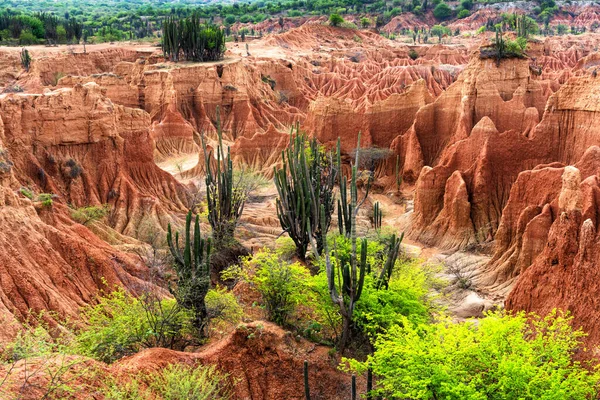 Pustynia Tatacoa Desierto Tatacoa Kolumbia — Zdjęcie stockowe